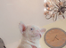 Full fluffy French bulldog boy last one left