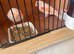 Red mosaic hens x2