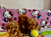 Maltipoo