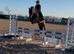 14.3h mother daughter share 15yr gelding