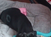 Puppy for sale/BOY