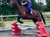 Fun teenager event show jumper project