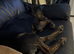 Presa canario puppy