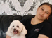 Bichon friz