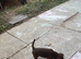 Rolo