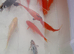 Gold fish