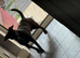 15 month old Patterdale terrier male