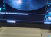 Canine ultrasound scanning