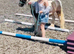 Cob gelding