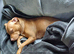 13 month old puppy for sale