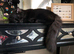 Half Maine coone cat for sale