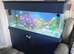Fish rank aquarium
