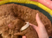 6 Stunning Cockapoo Puppies