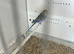 7 x baby budgies