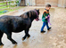 A Child's Best Friend