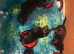 Pomchi puppies