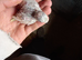 Albino lutino and other budgies