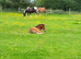 Stunning filly