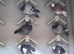 Quality roller pigeons in various colours