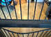 Rainforest Oregon Small Bird Flight USED - CLEANED - Dismantled