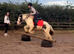 BATMAN - 13HH PIEBALD COB GELDING