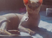 Casper