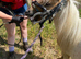 Beautiful Palomino And White Shetland Gelding For Sale