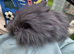 Angora x lion head