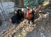 Trio of black pekin bantams