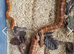 Cb22 male het scaleless palmetto anery