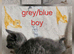 Lovely kittens looking for 5* homes