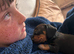 READY NOW ! Beautiful, cuddly miniature Dachshunds ️