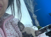 Beautiful chihuahua boy puppy