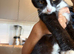 Make kitten needs a new home