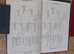 Registered and p/ b geldings