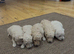 POOPOOCHONS! !