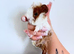 Baby guinea pigs for sale
