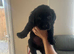 Kc reg Labrador puppy’s for sale Solihull