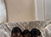 Miniature dachshund girl