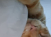 Ginger male cat