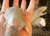 Males and females 6weeks +