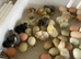12x Hatching Eggs Mixed Hybrid Coloured Rainbow Chicken
