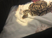 Female bull python