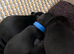 Chihuahua x Pug Puppies For Sale