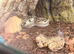 4 year old python spider morph