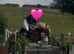 Beautiful Chestnut Mare with Flaxen Mane and Tail