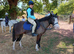 12.2 4year old mare