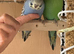 Love baby budgie in  Dagenham in Barking and Dagenham