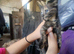 Kittens ready to leave