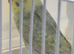 Baby budgie ring number 31 2026 rung